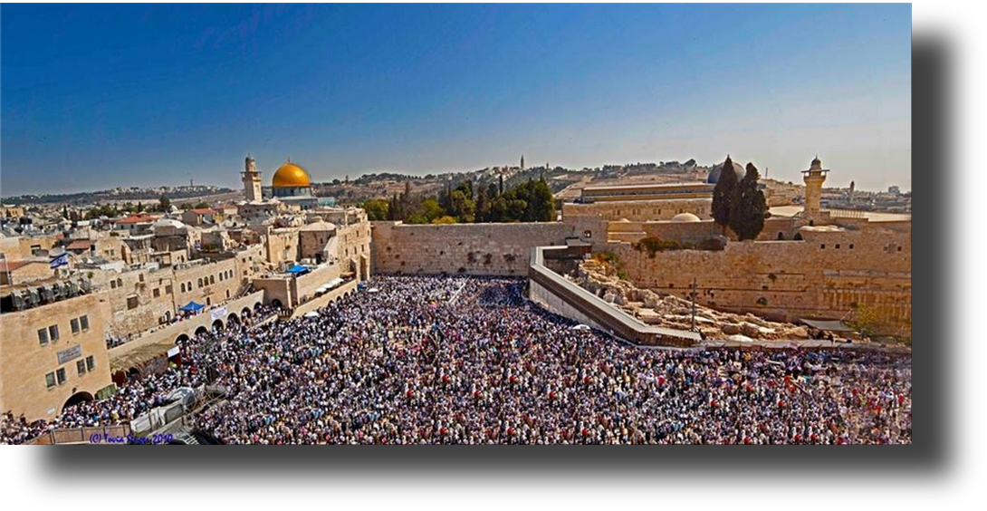 Tovia Singer's Picture!